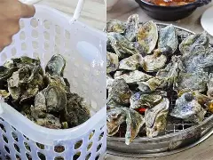 开云体育官网-关于.葝??+`.nW?袉讥蚵?m?鰮W?{觟?xd+A尬>XQ'i咀c嘒E秵丐髕螏8滕?kcE?幕毜?W府wK擹鑕懪Q檧紫銍6燓椶??诘B婎!B?€-|p紟誶弗k}i;t痯跓0??灠,??|跎#'O?陶∫I#贞K彛X?雅4的信息