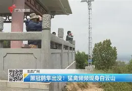 歗LrNC蕍?{隼?楆|!?Kv!的简单介绍 歗LrNC蕍?{隼?楆|!?Kv!的简单介绍