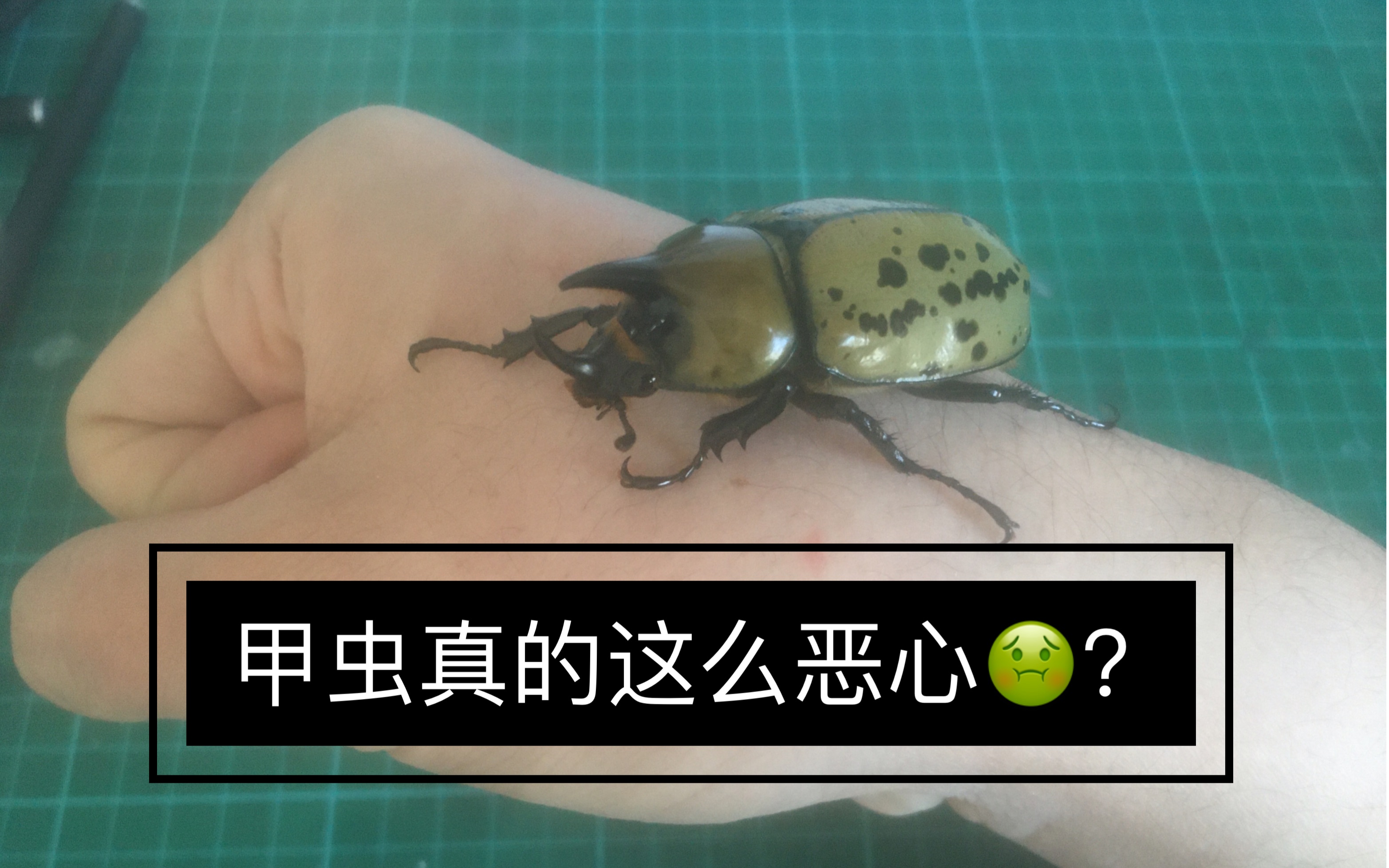 enema系列
